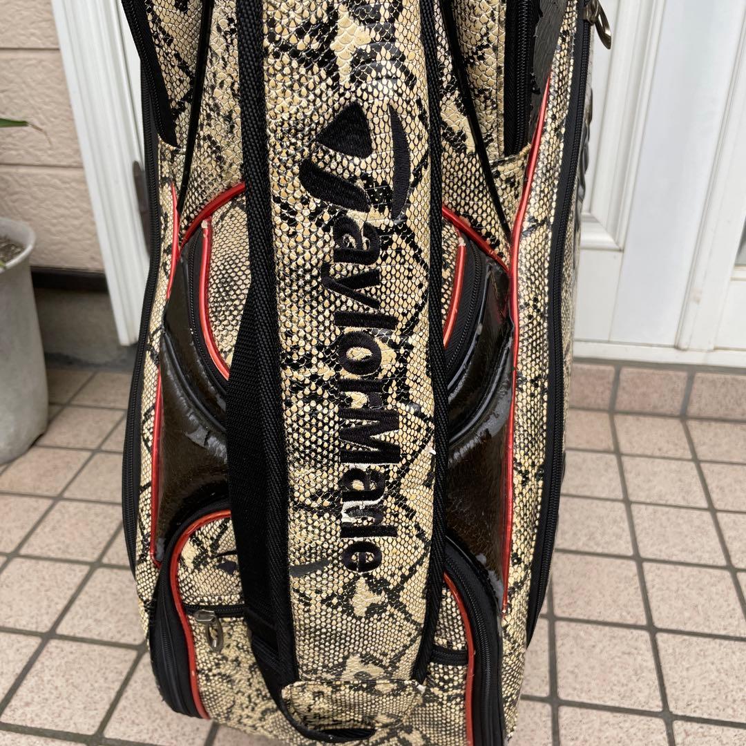 レア柄】TaylorMadeテーラーメイド キャディバッグ フード付 蛇柄