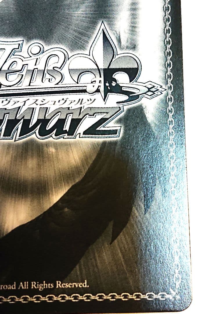 ジョジョの奇妙な冒険 ヴァイス 希望の星 承太郎 スタープラチナ SP