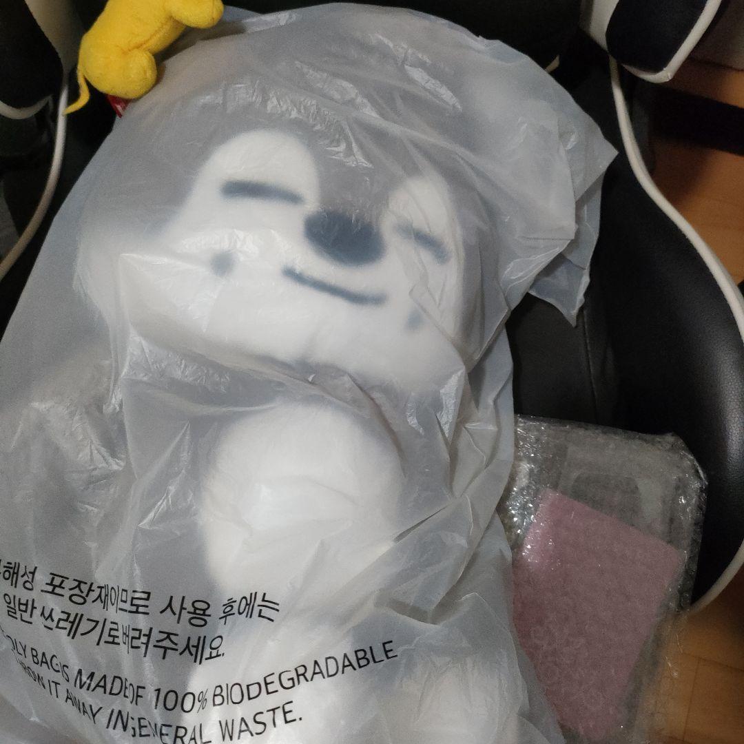 StrayKids SKZ 5clock テディベア ぬいぐるみ バンチャン バンチャン STRAYKIDS ストレイキッズ スキズ バースデー ベア