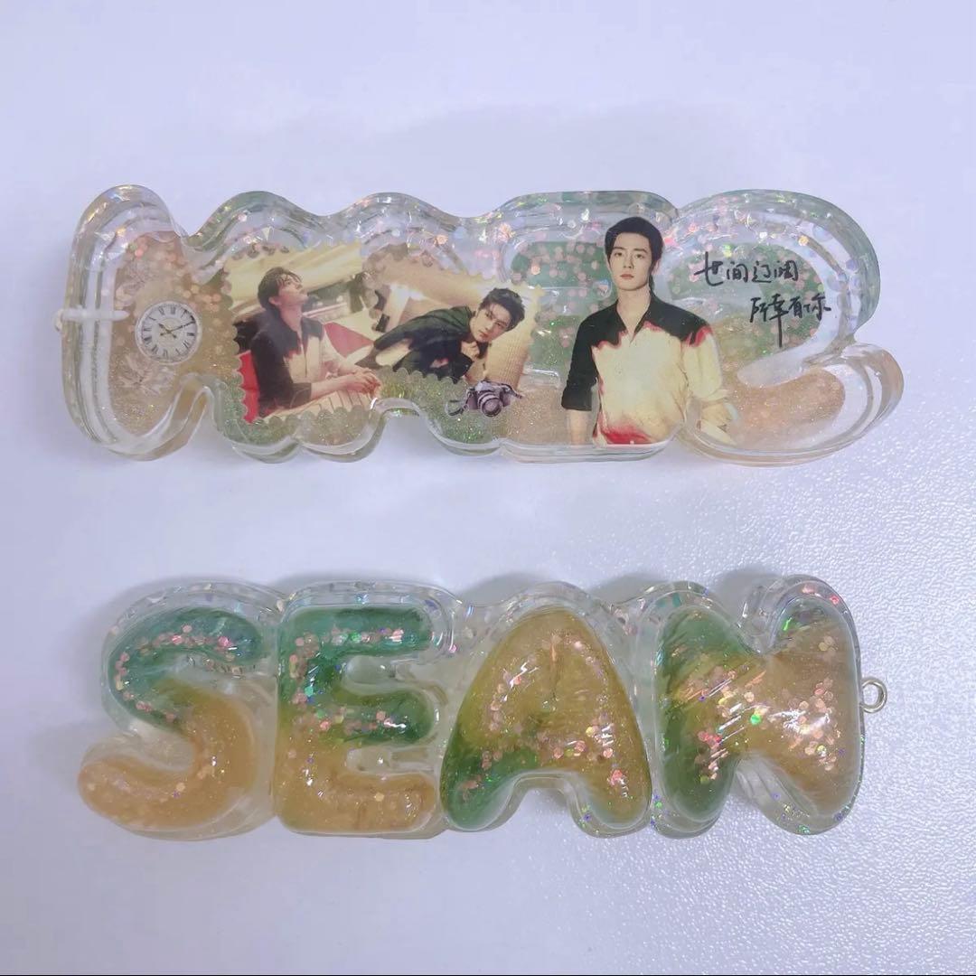 肖戦 厚いレジン置物です&バッグチャームに&ナイトライトにもなります❣️9点