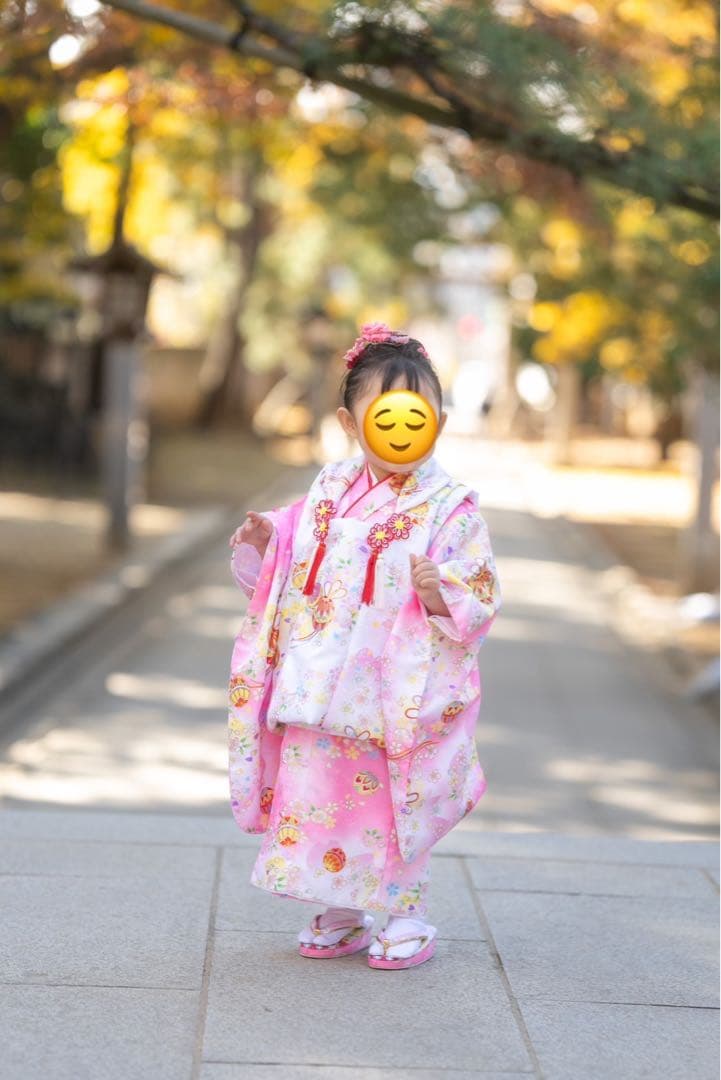 《七五三》 被布7点セット ちりめん刺繍被布コート 着物、被布 ３歳