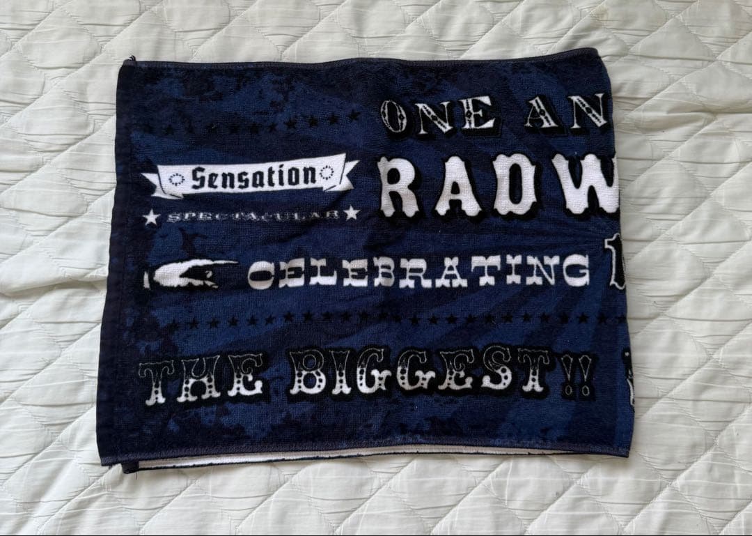 RADWIMPS Tシャツ タオル グッズ まとめ売り