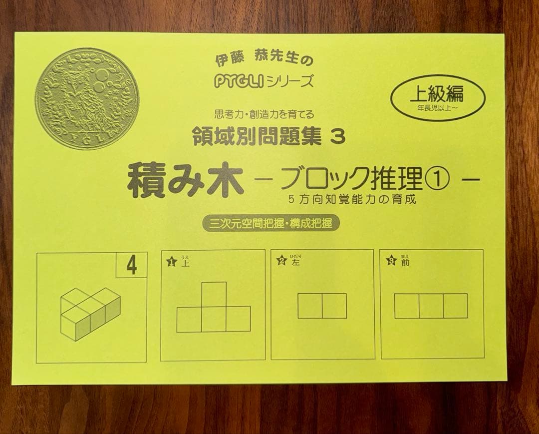ピグマリオン 教具 思考力12冊 2歳児のさんすう 積み木推理3冊