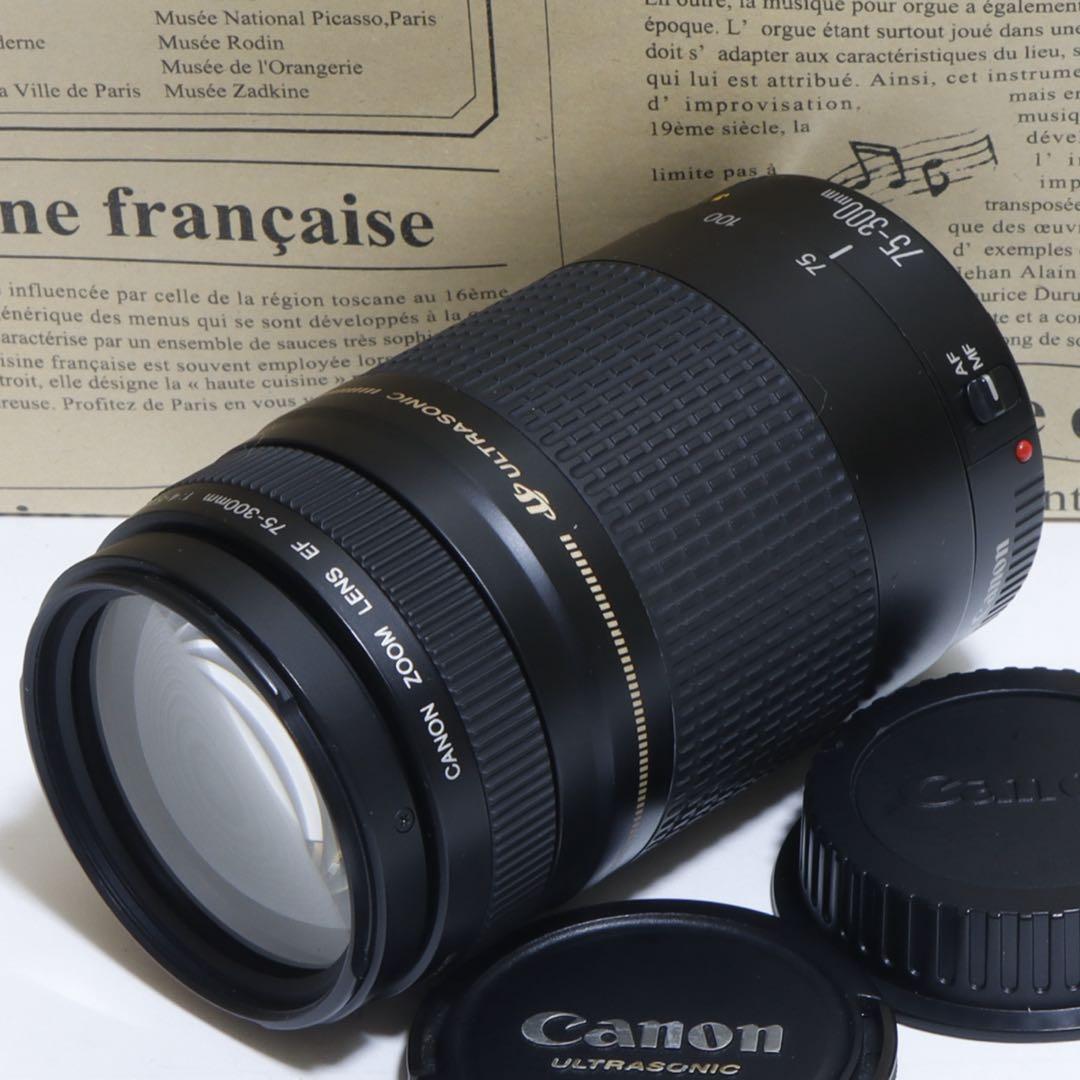 ◇超望遠&高速AF◇ Canon純正 75-300mm II型 望遠レンズ ◇ - メルカリ