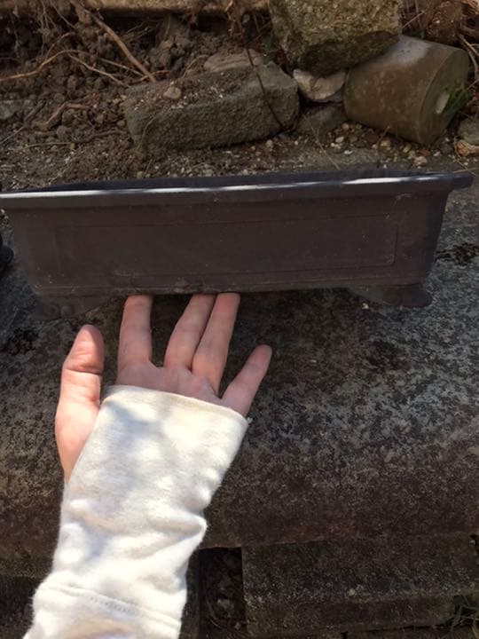 盆栽鉢　時代隅切り雲足長方鉢29.5x22x8盆栽鉢山野草サボテン寄せ植え植木鉢 楽天市場】盆栽鉢 足の通販