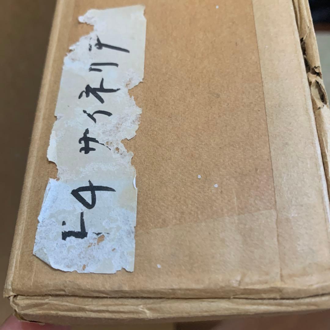 絵画　油彩肉筆画　岸本作『サイネリア』高級額装F4