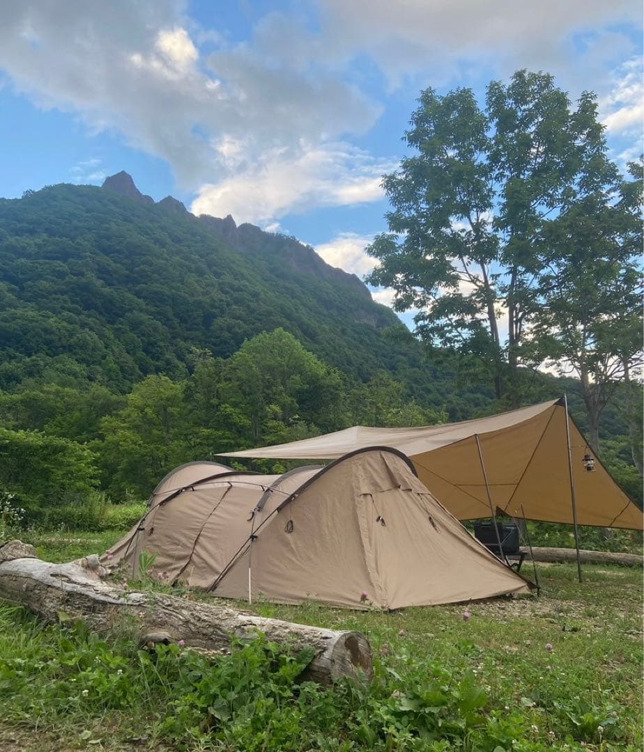 ゼインアーツ　ロガ4 ZANE ARTS】ROGA-4 | RECOMMEND | ELNEST ONLINE