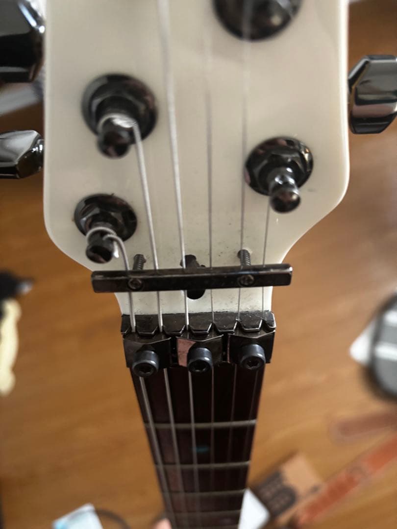 【しょうへい6845】Seed kotetsu