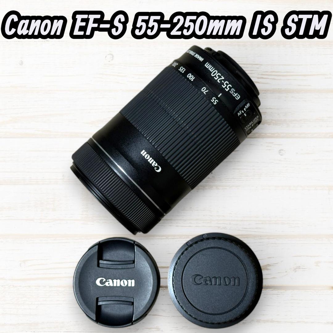 Canon ズームレンズ EF-S 55-250mm IS STM #176 交換レンズ実写ギャラリー：キヤノンEF-S 55-250mm F4-5.6 IS STM