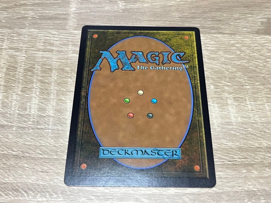 MTG タルキール　霧深い雨林　ドラゴンスケイル・Foil 英語　ボーダーレス