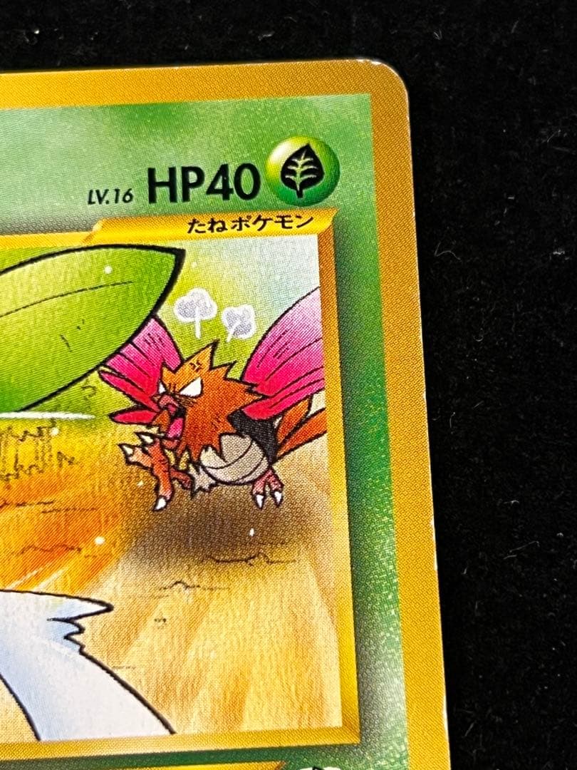 美品〇】ポケカ Pokéca 旧裏 ヒマナッツ ポケモンカードになったわけ