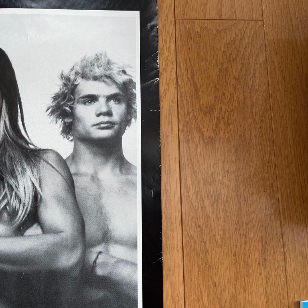 RED HOT CHILI PEPPERS ポスター　　レッチリポスター