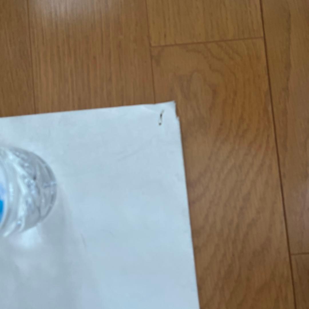 RED HOT CHILI PEPPERS ポスター　　レッチリポスター