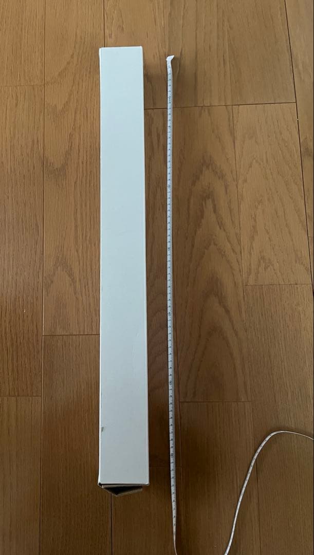 RED HOT CHILI PEPPERS ポスター　　レッチリポスター