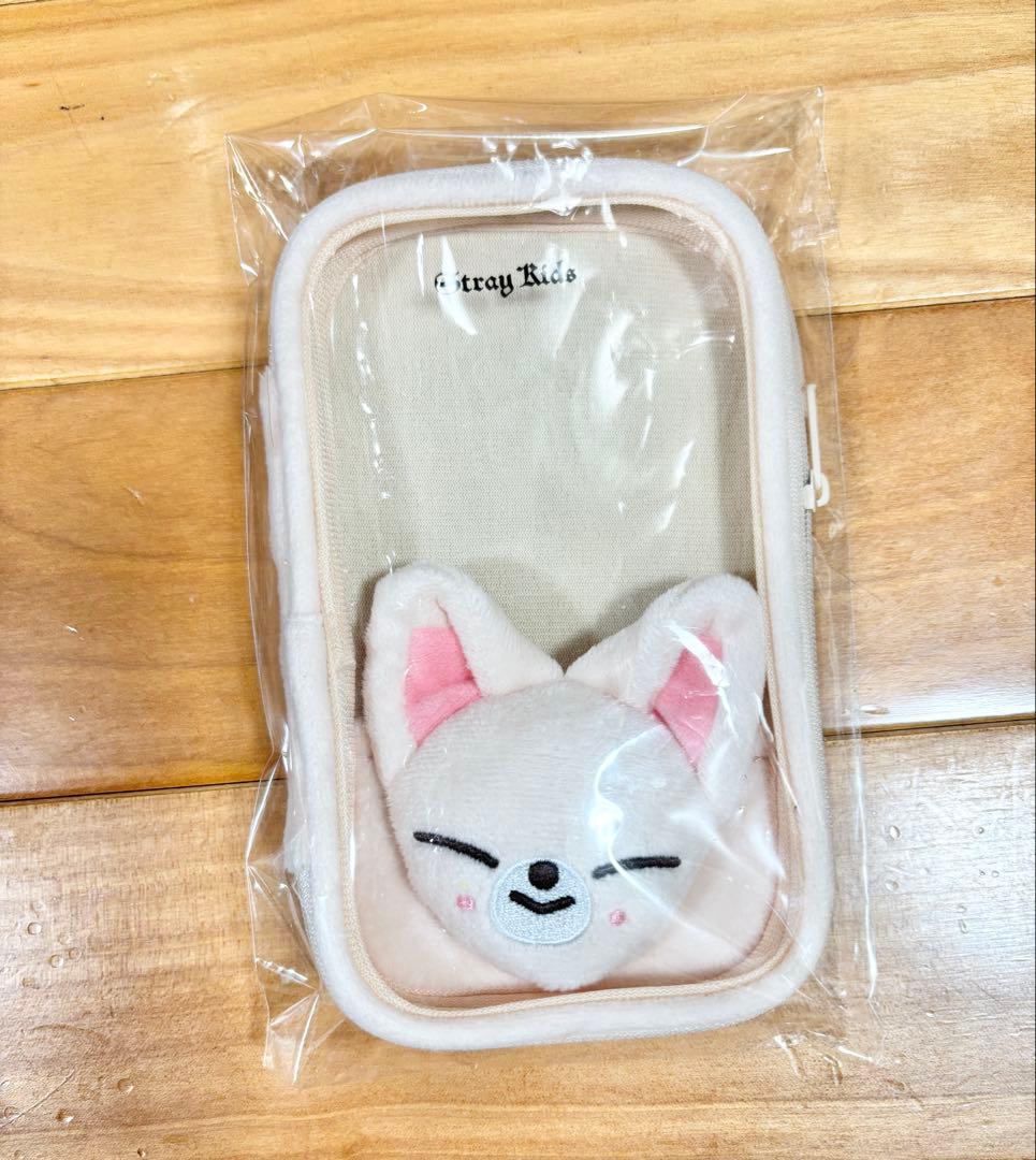 stray kids スキズ　アイエン　フォクシーニー　SKZOO ペンミ