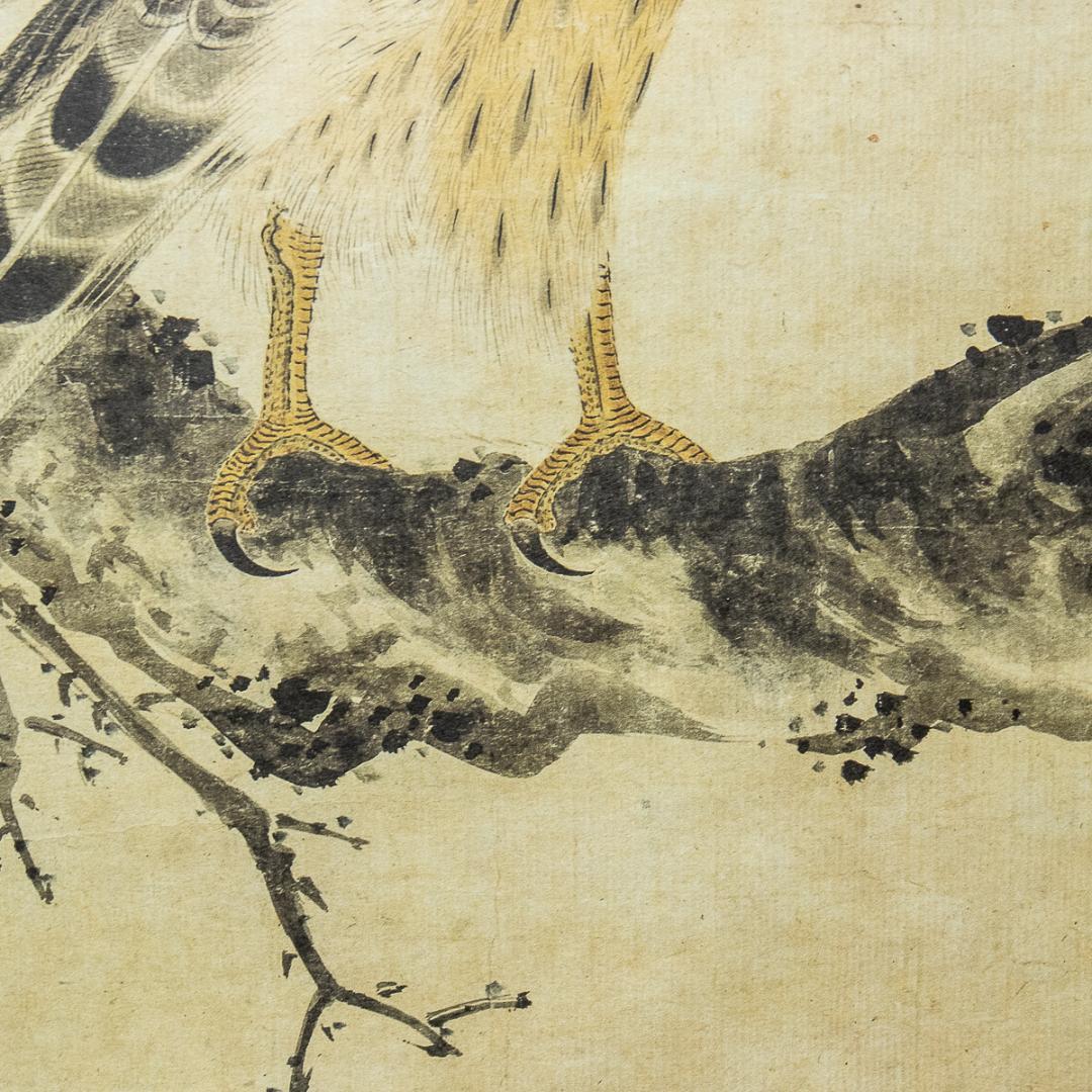 掛軸-1011 土岐頼芸 鷹図 印刷工芸作品 土岐の鷹 国盗り物語 - メルカリ