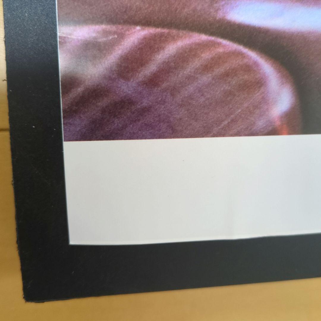 Aimerポスター ★★★希少Ver.★★★ insane dream