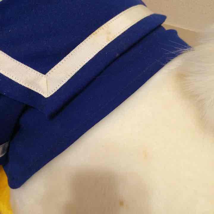 36000円！特大！ドナルド ディジー ぬいぐるみ ディズニー限定