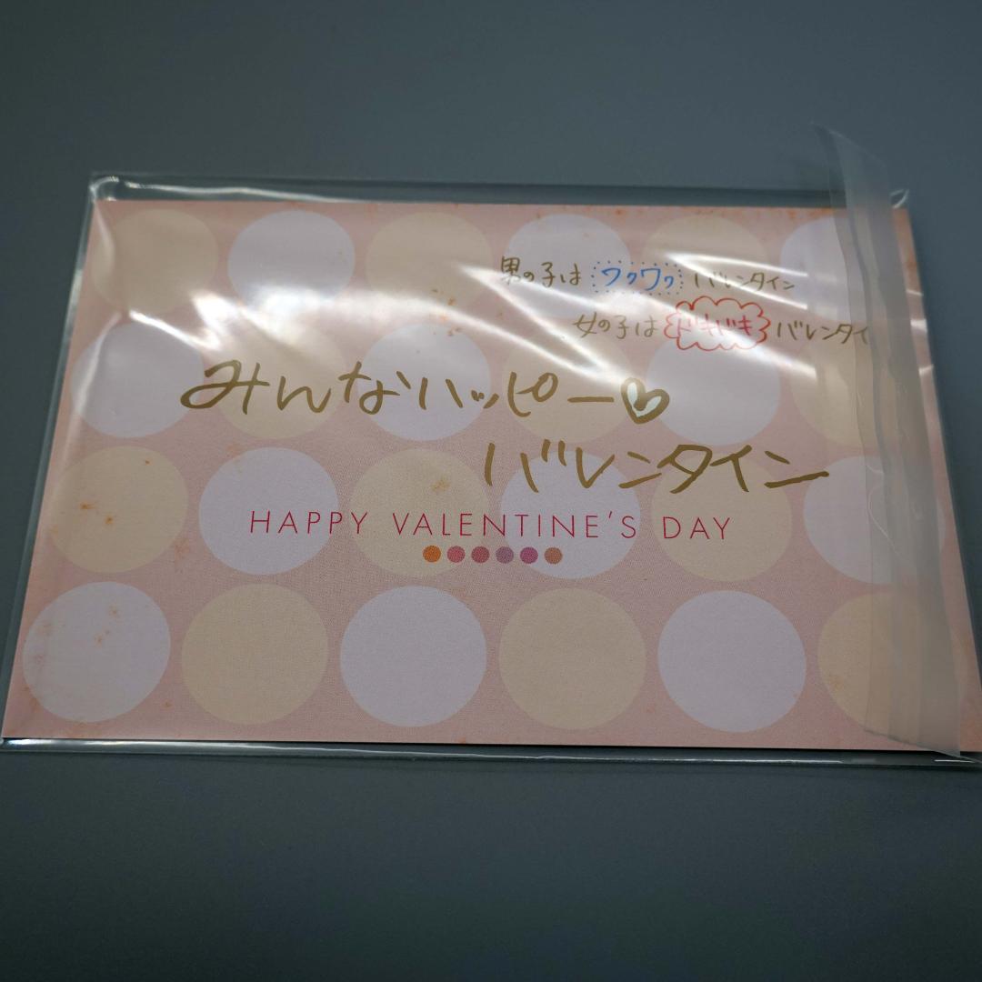 長澤まさみ 写真集少女伝説抽プレ 直筆サインバレンタインカード