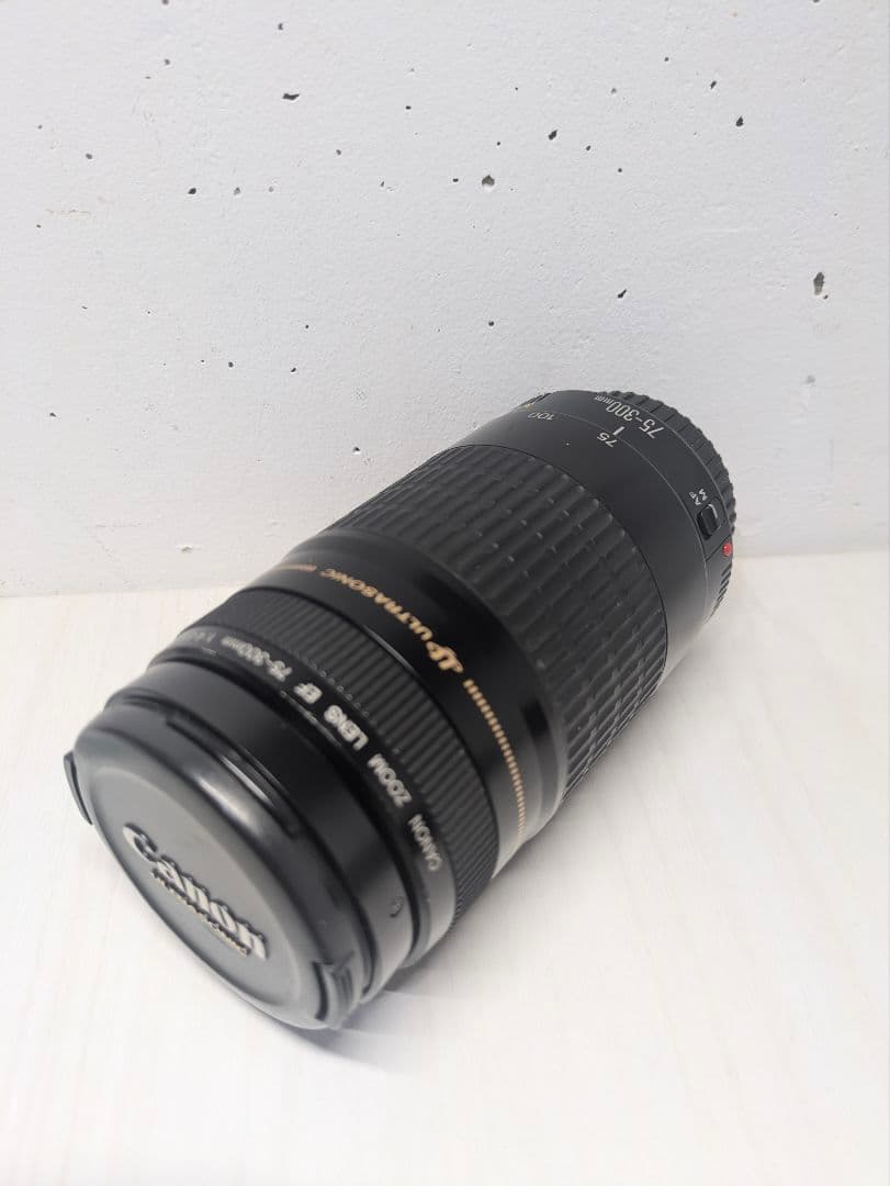 CANON 望遠レンズ　EF 75-300 1.4-5.6 キヤノン（Canon） Canon EF 75-300mm f/4-5.6 III 美品 EFマウント