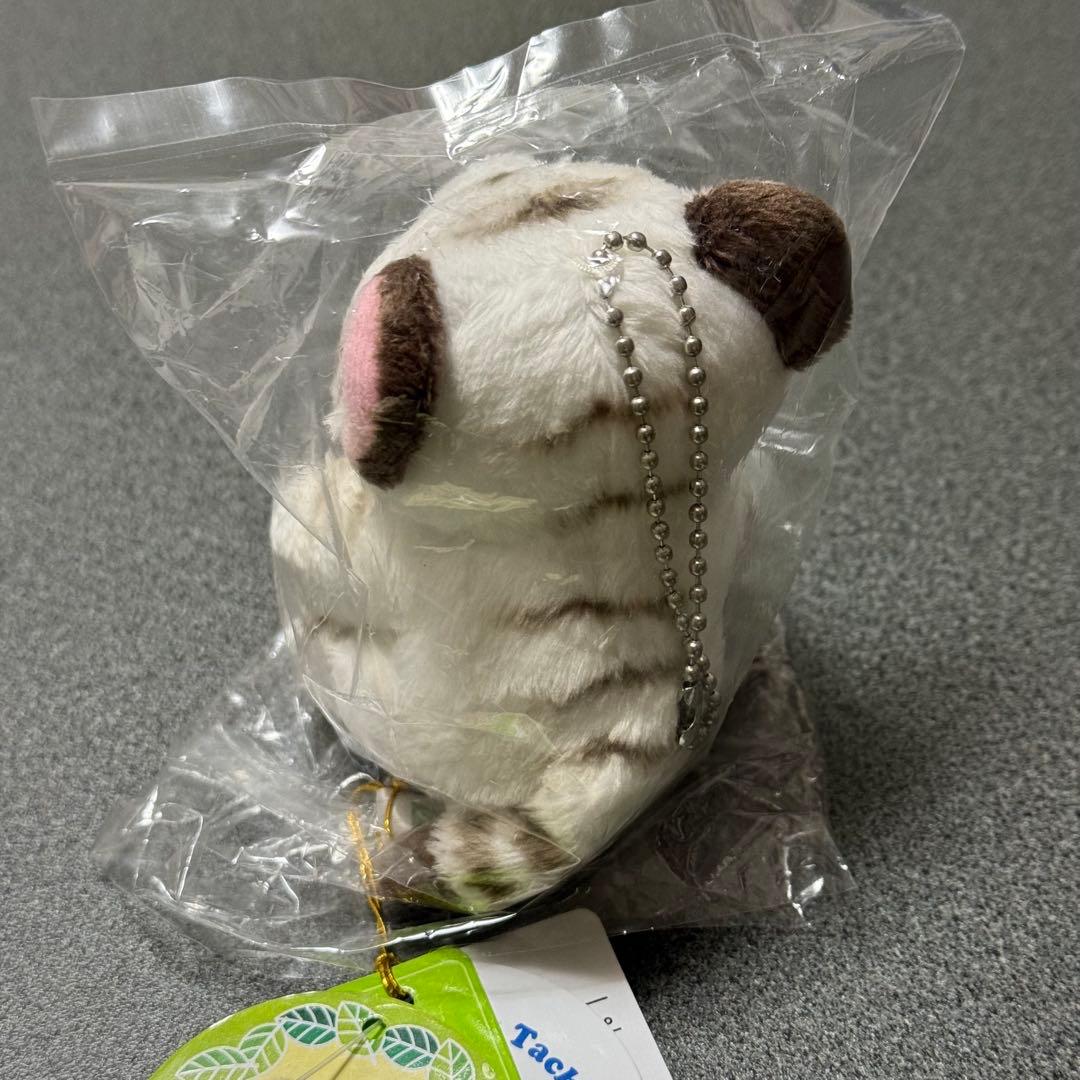 ホワイトタイガー ぬいぐるみ キーホルダー 東武動物公園 - メルカリ
