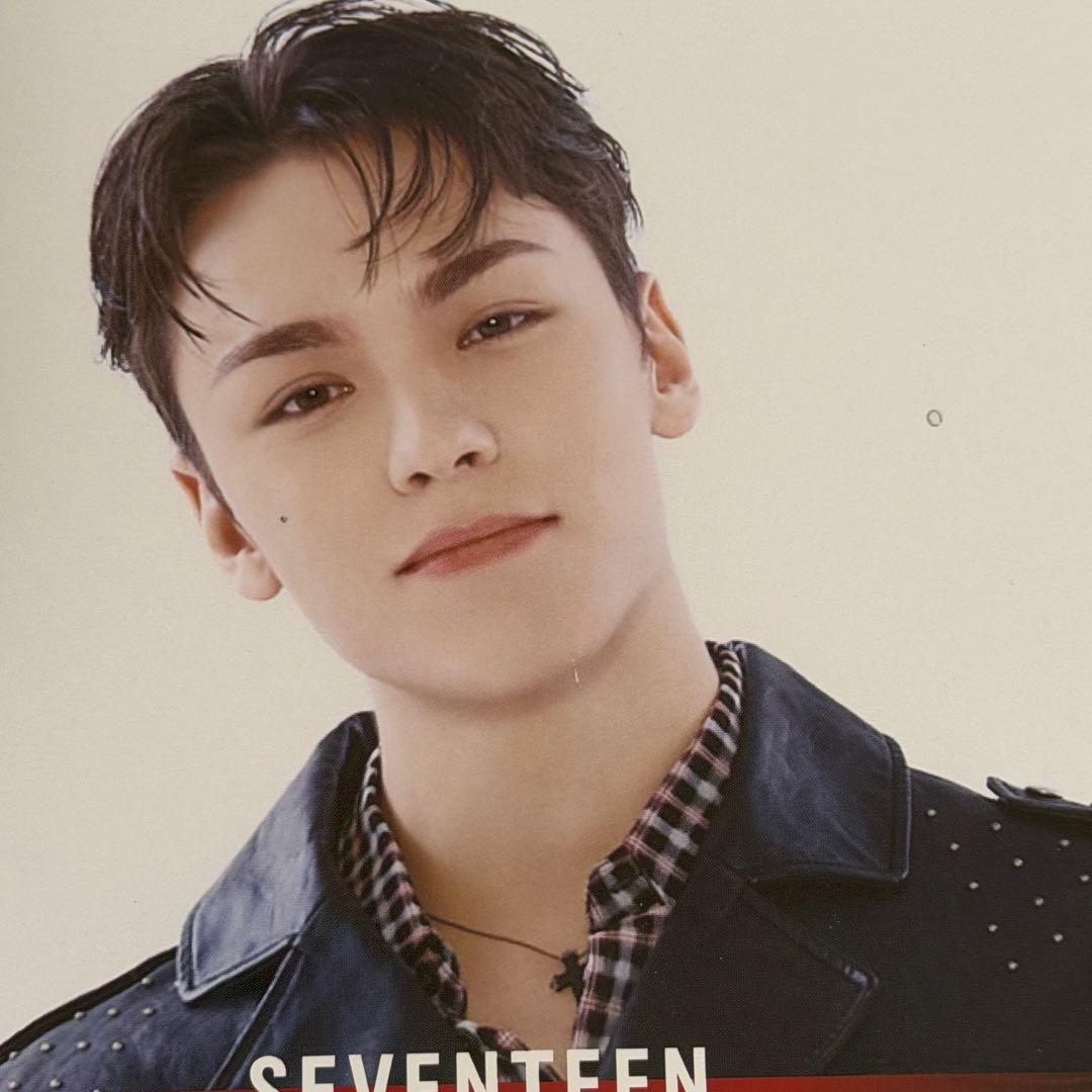 バーノン グッズ セット まとめ売り セブチ seventeen - メルカリ
