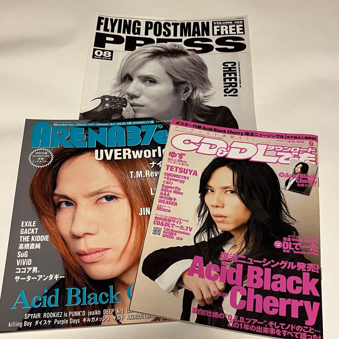 Janne Da Arc Acid Black Cherry 本まとめ売り