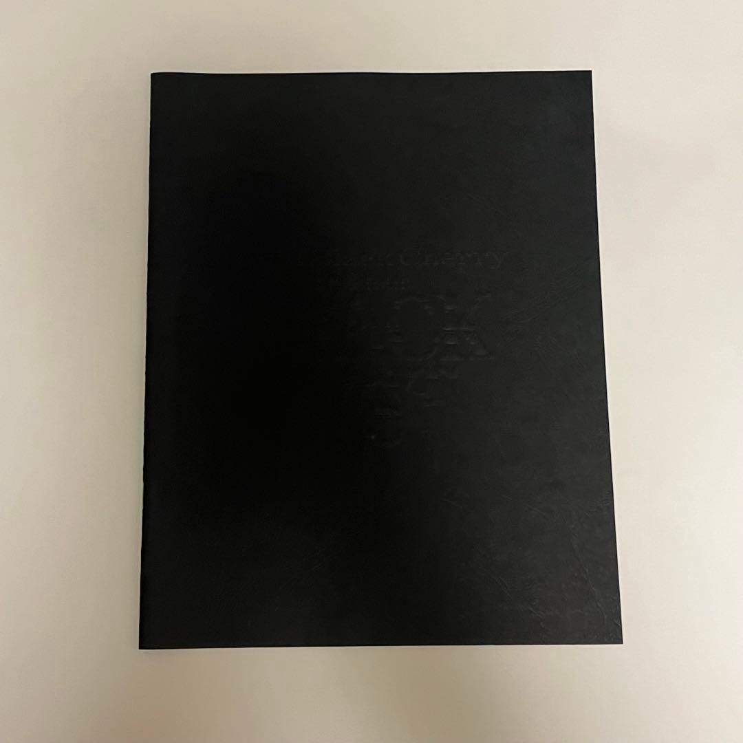 Janne Da Arc Acid Black Cherry 本まとめ売り