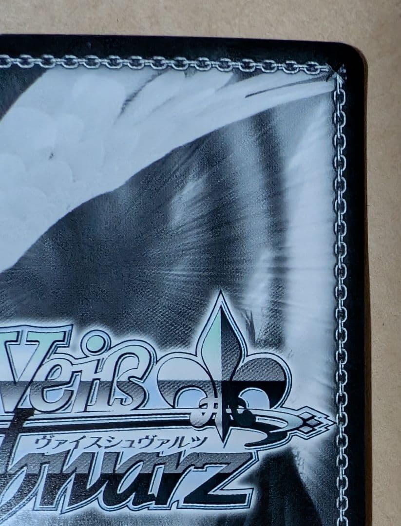 ヴァイス　みずがき湖を眺めて あおい　SSP　ゆるきゃん