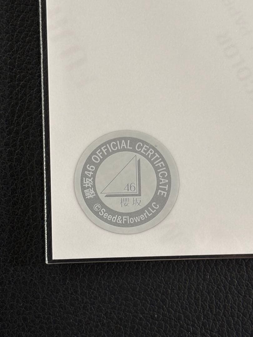 櫻坂46 藤吉夏鈴 2025年サンタ衣装 直筆サイン入り生写真 - メルカリ