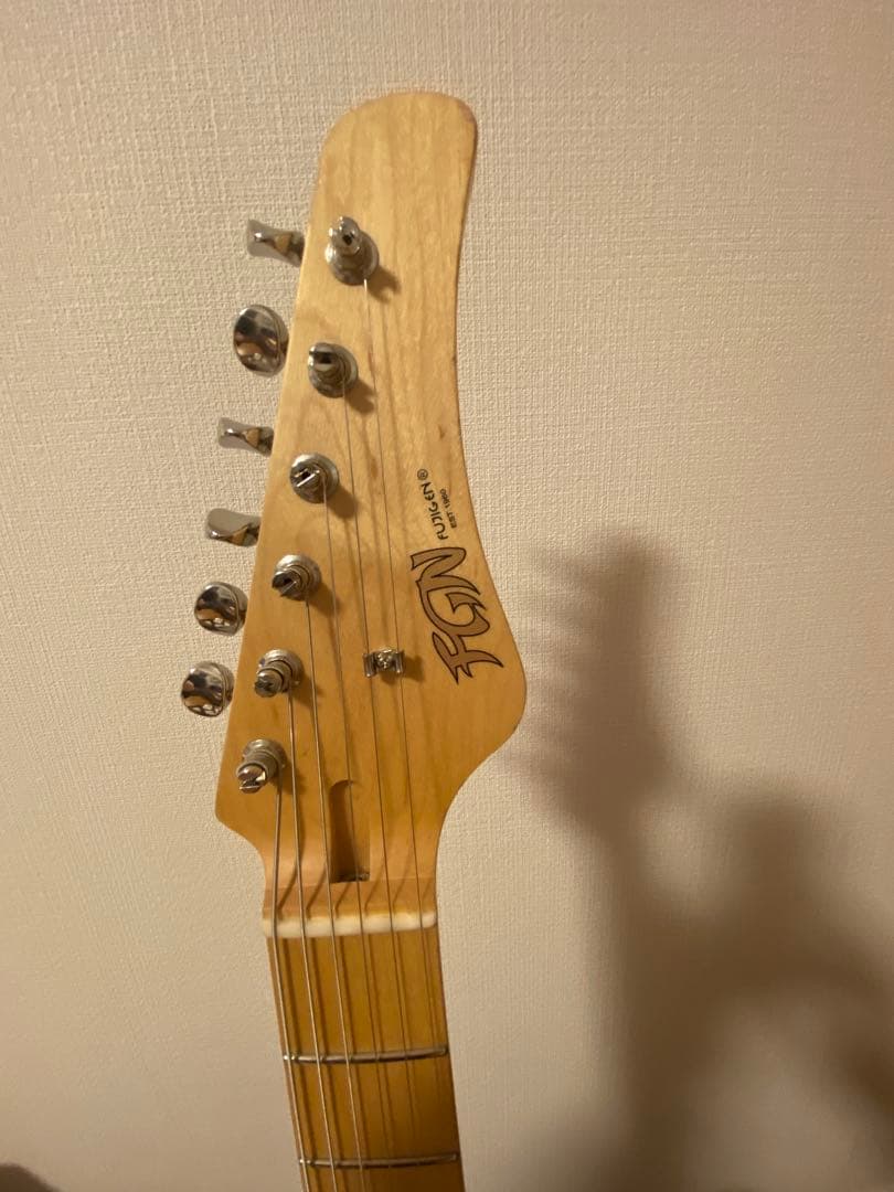 ギター FGN Boundary ILIAD