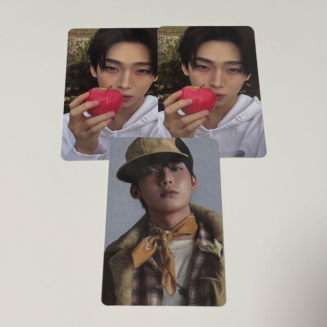 ENHYPEN THE SIN VANISH ソヌ トレカ - メルカリ