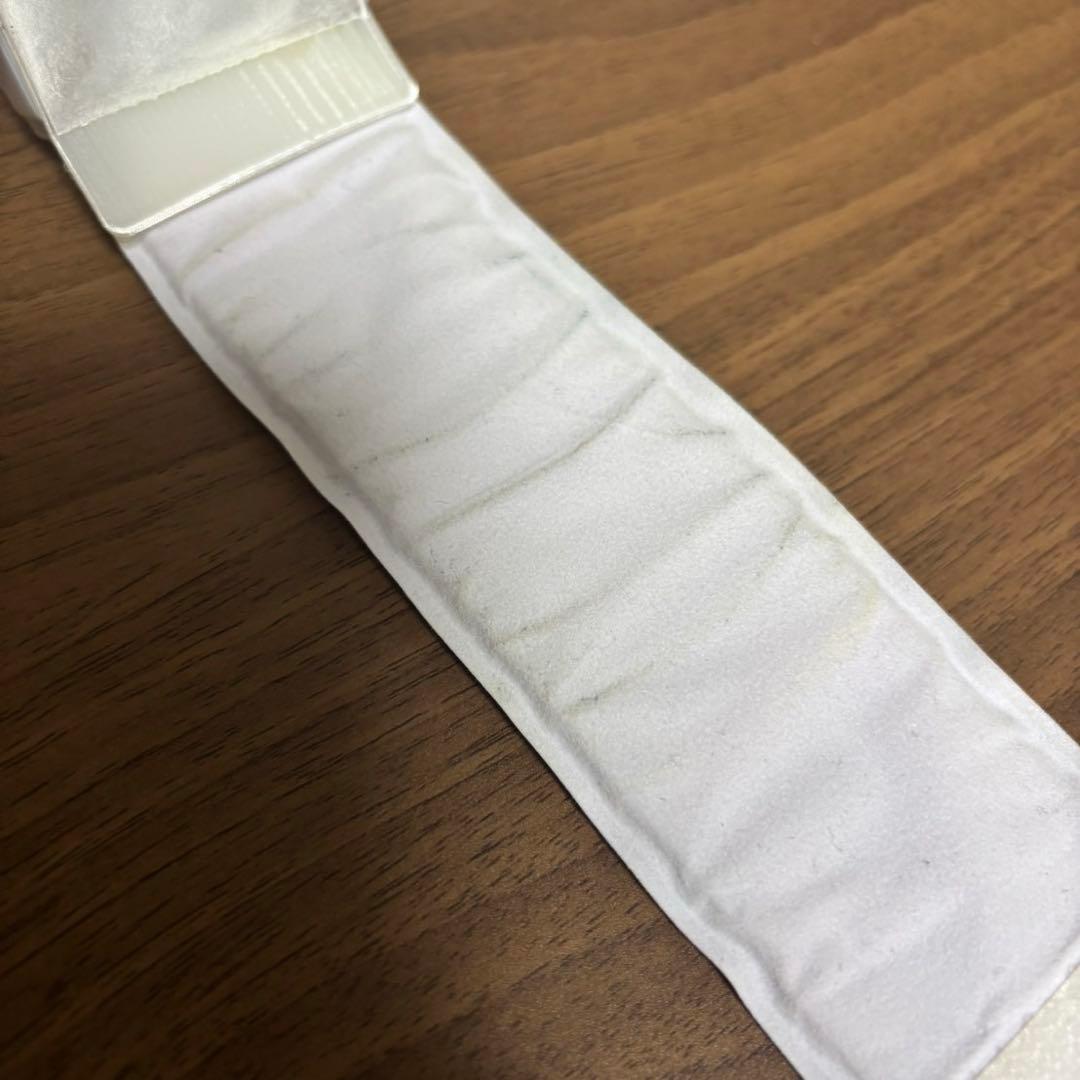 Mrs. GREEN APPLE ゼンジン未到とヴェルトラウム ライトバンド