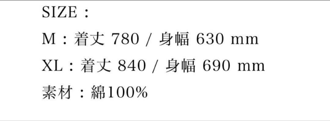 THE ORAL CIGARETTES MUZE ビッグシルエットTシャツ XL