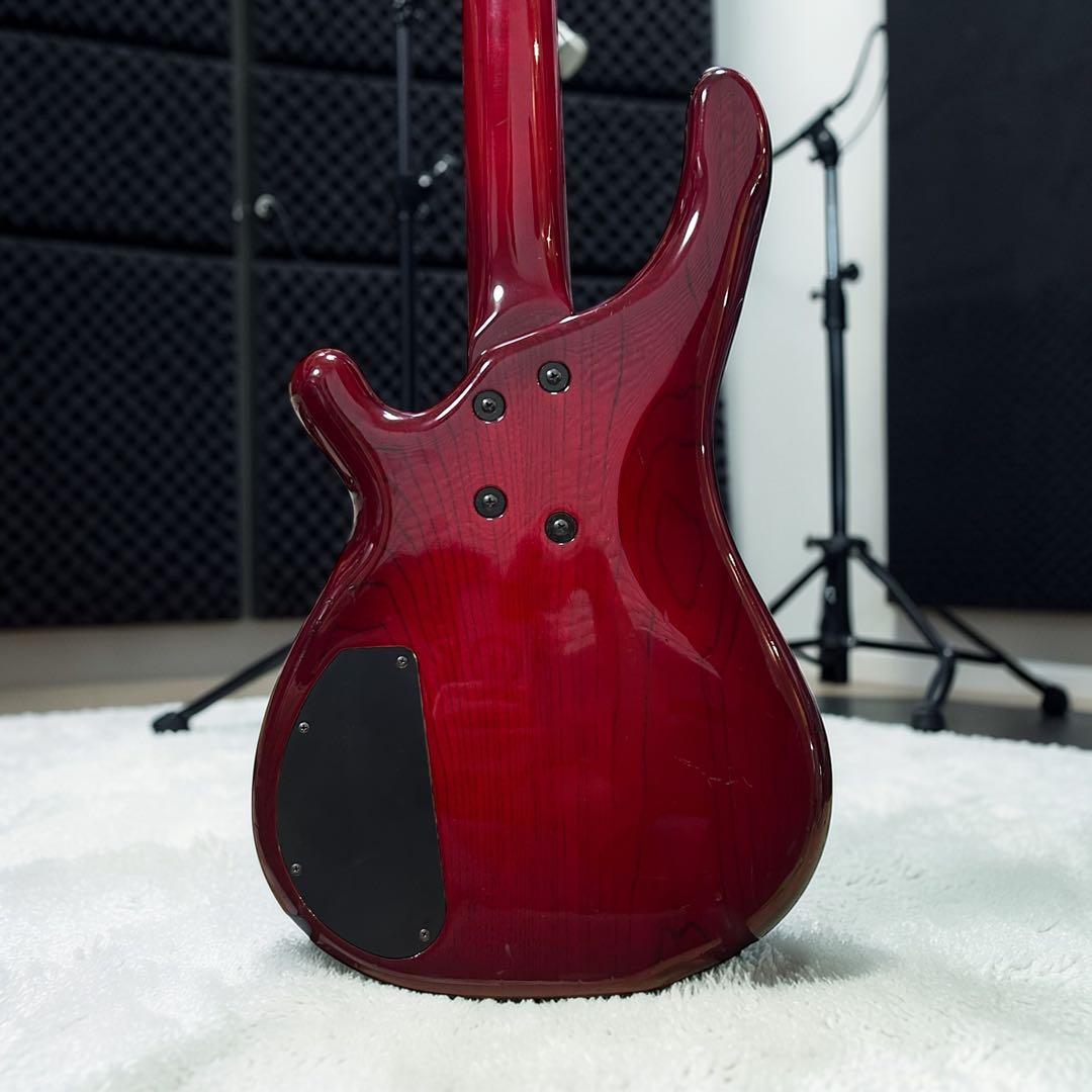 国産ハイエンド】TUNE BASS MANIAC TB-standard AS - メルカリ