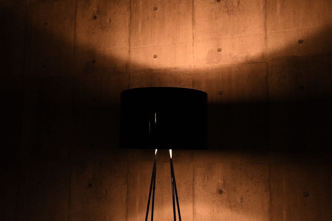 EEK63 展示品 FLOSフロス RAY F2 フロアライト 34万 ブラック - メルカリ