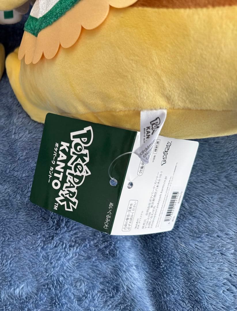 ポケパーク カントー ぬいぐるみ大 ピカチュウ カーニバル衣装