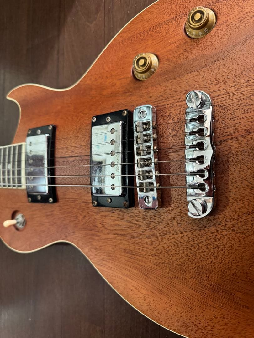 Aria Pro II PE-350 マホガニー ソフトケース付 - メルカリ