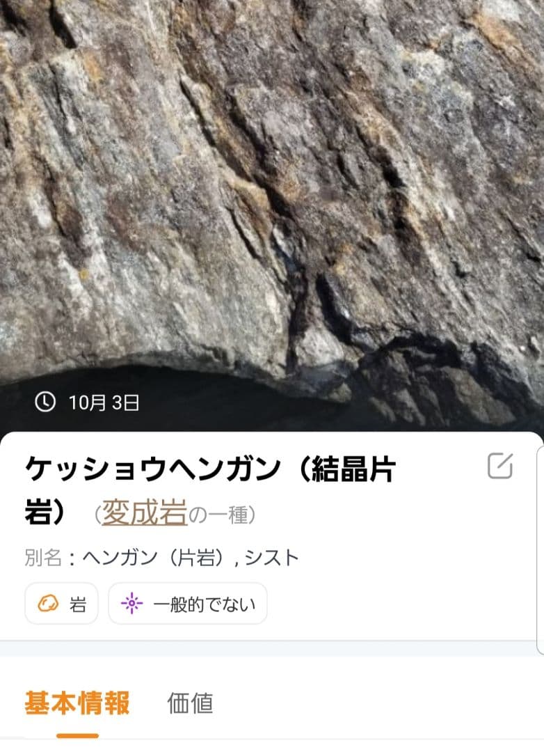 希少原石 大型 結晶片岩 シスト 庭石 ロックガーデン ガーデニング