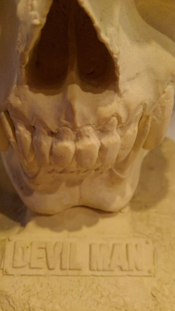 激レア フューチャーモデルズ デビルマン スカル 1/1 佐川博士 制作