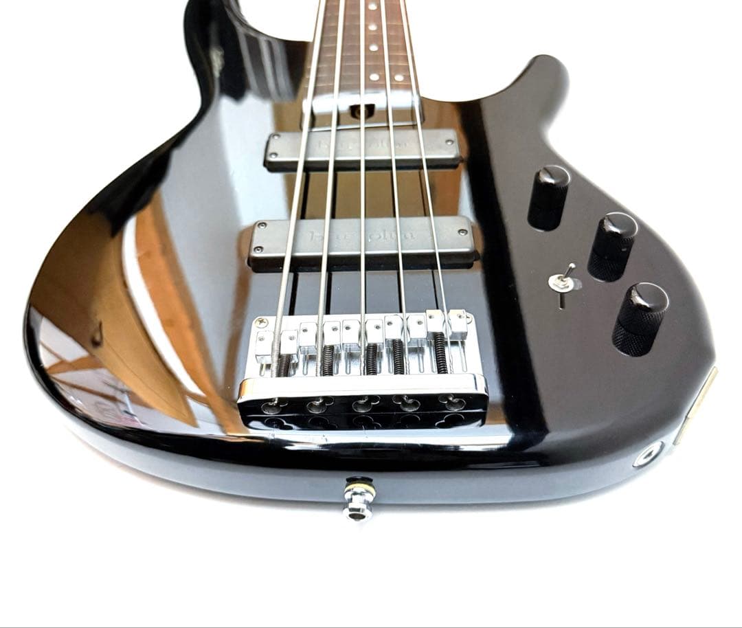 希少】HEARTFIELD DR-5 カスタム 5弦ベース フレットレス仕様 - メルカリ