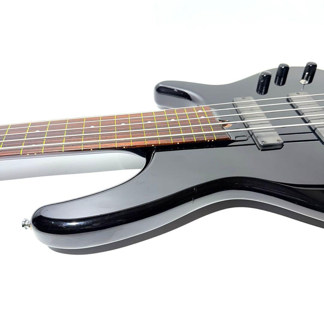 希少】HEARTFIELD DR-5 カスタム 5弦ベース フレットレス仕様 - メルカリ