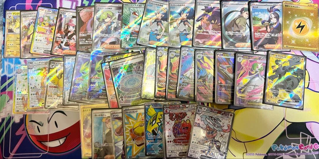 再出品用　1/5まで