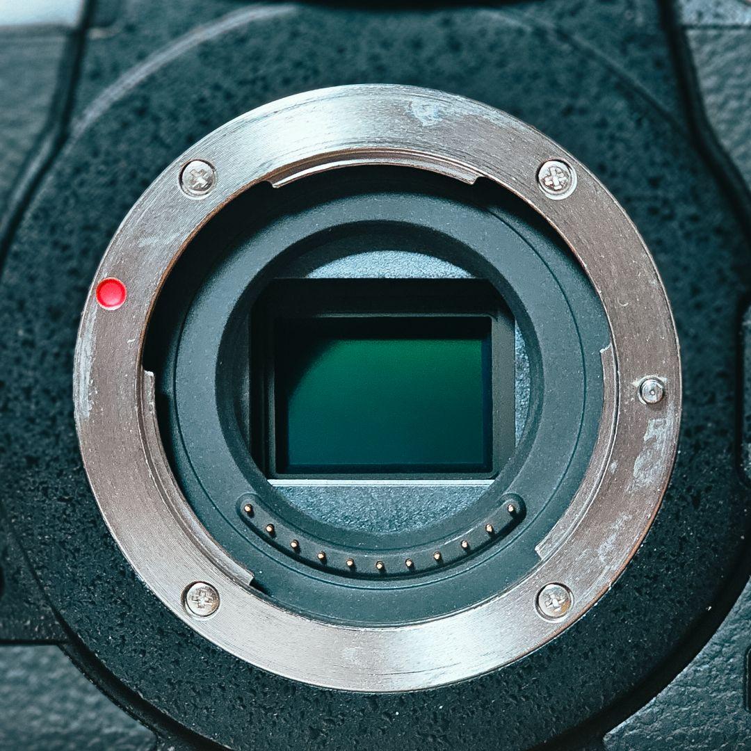 専用)Lumix GH5/14-42mmレンズセット【vlogアプデ済み】 - メルカリ