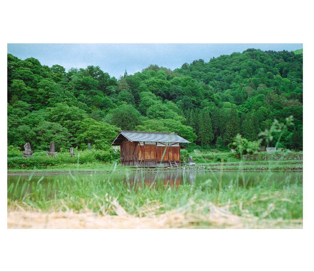 作例あり ライカ Leica M5 Color-Skopar 35mm F2.5 - メルカリ
