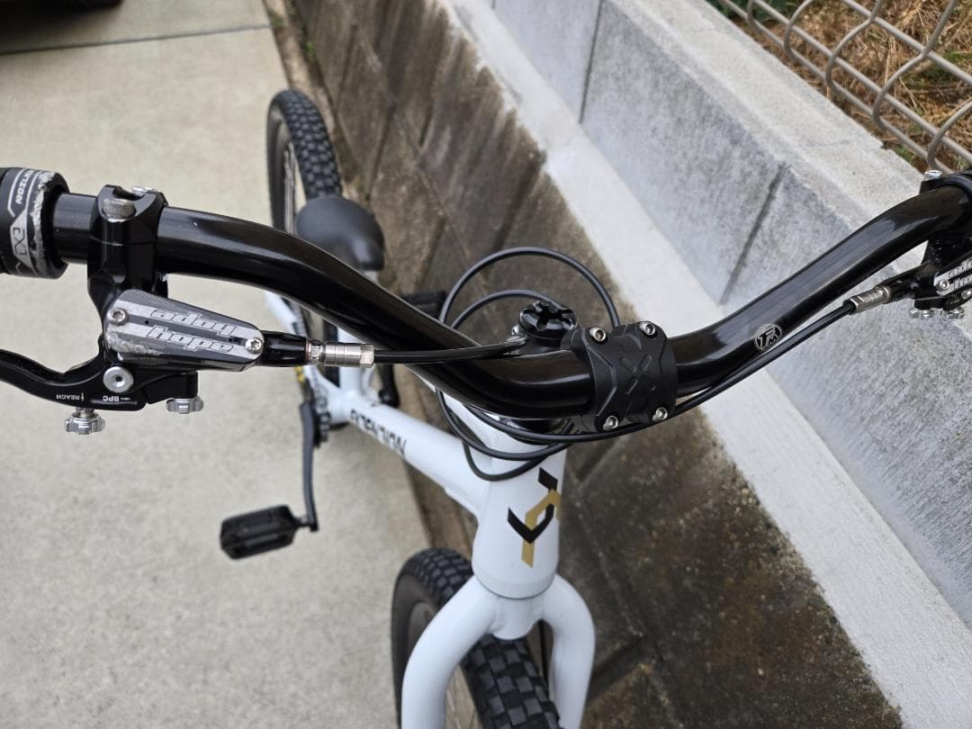 多趣味人様交渉中 extension JARVIS 24インチ ブレーキレス