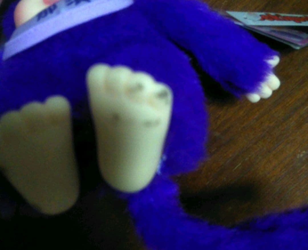 ご当地　栃木県　限定　那須　モンチッチ　　monchhichi