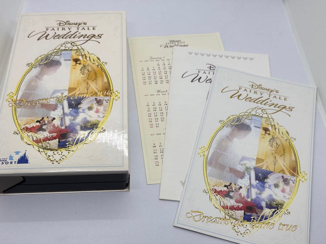 《希少》東京ディズニーランド10周年記念　フェアリーテイルウエディング　ビデオ