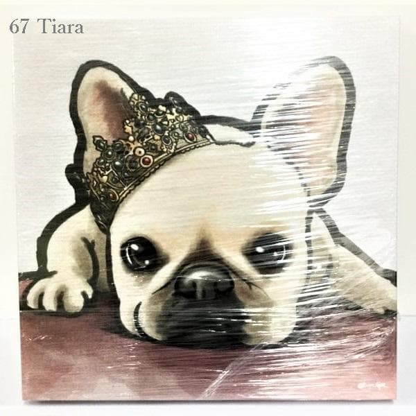 Oliver Gal -オリバーガル - OG66 67 69 70 73-3