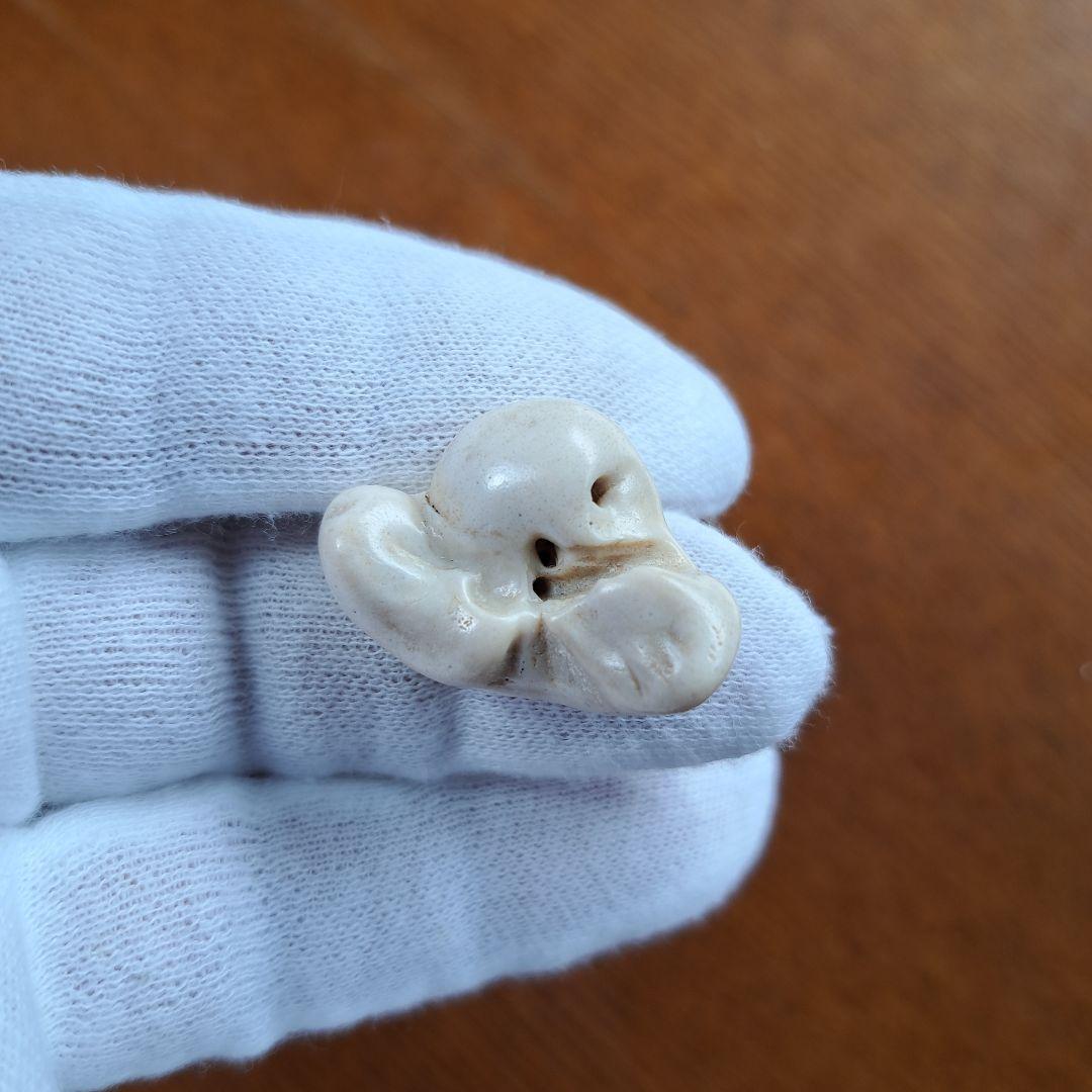 イルカの耳骨【大きさ2.8㎝】